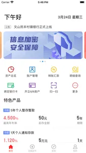 文山民丰村镇银行 screenshot 0