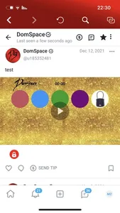 DomSpace screenshot 2