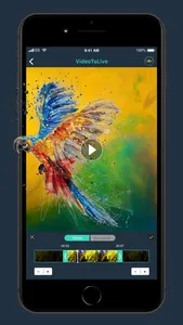 Video 2 Live Wallpaper Maker screenshot 0