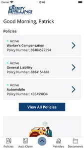 Bibby, Brilling & Associates screenshot 1