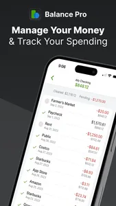 Balance Pro: Money Management screenshot 0