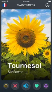 Swipe Words - Learn New Lang screenshot 0