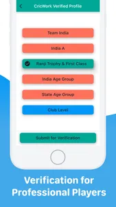 CricWORK screenshot 7