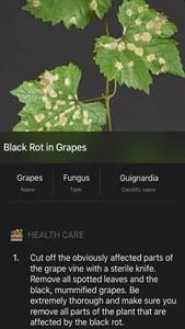 Plants Diseases Identifier screenshot 8