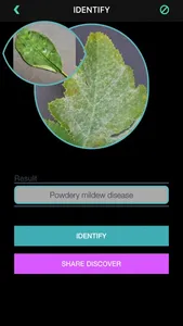 Plants Diseases Identifier screenshot 9