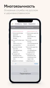 Православное богослужение screenshot 5
