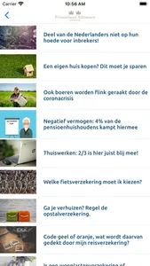 Prinsenland Adviseurs screenshot 2