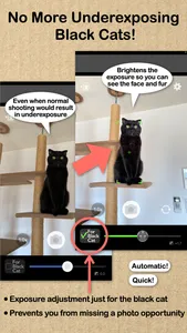BlackCatCamera screenshot 0