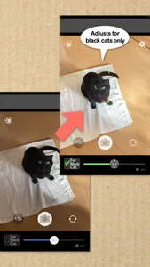 BlackCatCamera screenshot 1