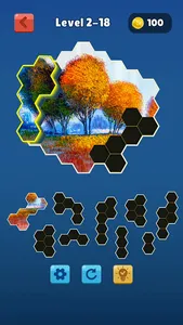 Hexa Jigsaw Collection HD screenshot 0