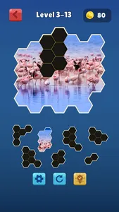 Hexa Jigsaw Collection HD screenshot 4