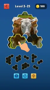 Hexa Jigsaw Collection HD screenshot 5