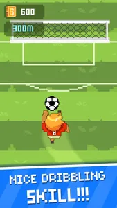 Dribble Star screenshot 1