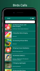 Bird Sounds!!! screenshot 0