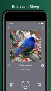 Bird Sounds!!! screenshot 3