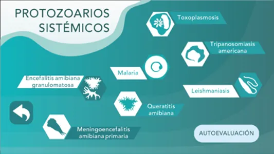 Protozoarios sistémicos screenshot 2