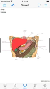 Dornheim Real Anatomy screenshot 1