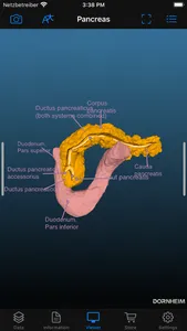 Dornheim Real Anatomy screenshot 5