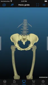 Dornheim Real Anatomy screenshot 6