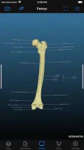 Dornheim Real Anatomy screenshot 7