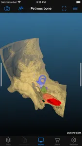 Dornheim Real Anatomy screenshot 8