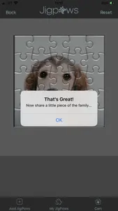 Jigpaws screenshot 2