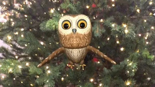 Rocky Owl AR screenshot 3