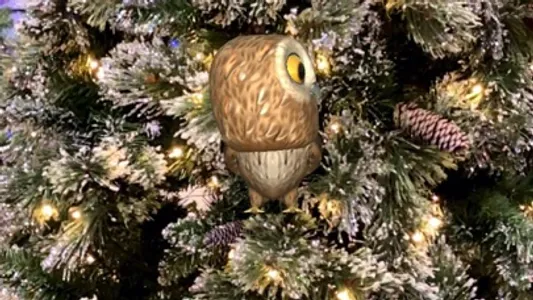 Rocky Owl AR screenshot 4