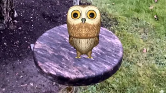 Rocky Owl AR screenshot 6