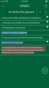 Quran Libraries screenshot 2