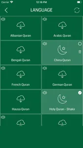 Quran Libraries screenshot 4