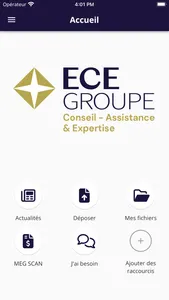 ECE Groupe screenshot 1