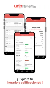 Conecta Udp screenshot 1