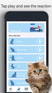 Games for Cats Cat Toy – Meow screenshot 1