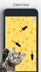 Games for Cats Cat Toy – Meow screenshot 3