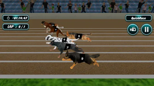 Dog Racing screenshot 0