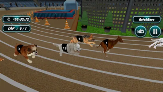 Dog Racing screenshot 2