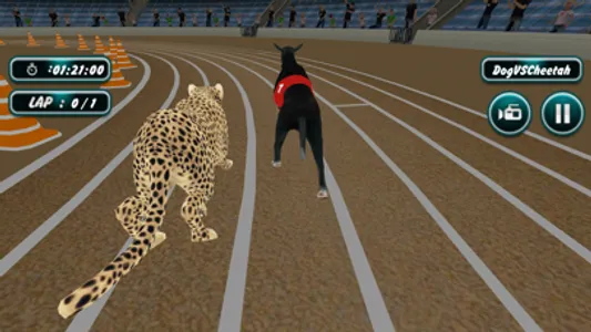 Dog Racing screenshot 4