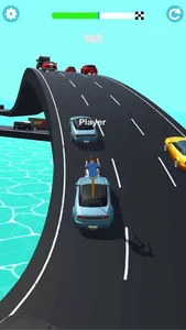 Pokey Race! screenshot 3