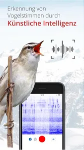 Vogelführer Birdlife Schweiz screenshot 2