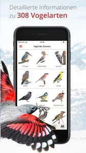 Vogelführer Birdlife Schweiz screenshot 4