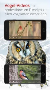 Vogelführer Birdlife Schweiz screenshot 5