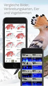 Vogelführer Birdlife Schweiz screenshot 6