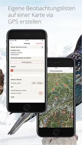 Vogelführer Birdlife Schweiz screenshot 8