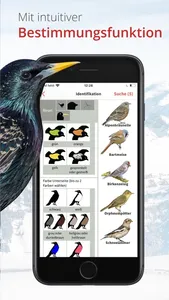 Vogelführer Birdlife Schweiz screenshot 9