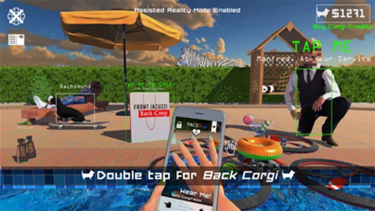 #FJBC Front Jolly Back CORGI screenshot 8