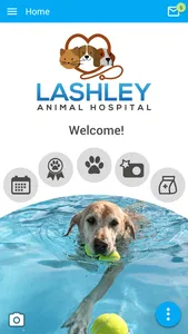 Lashley Animal Hospital screenshot 0