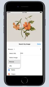 Search by Image for Safari screenshot 2