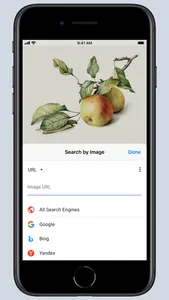 Search by Image for Safari screenshot 4