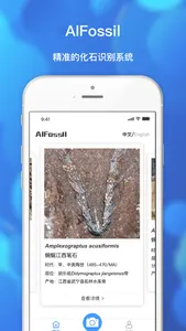 AIFossil screenshot 2